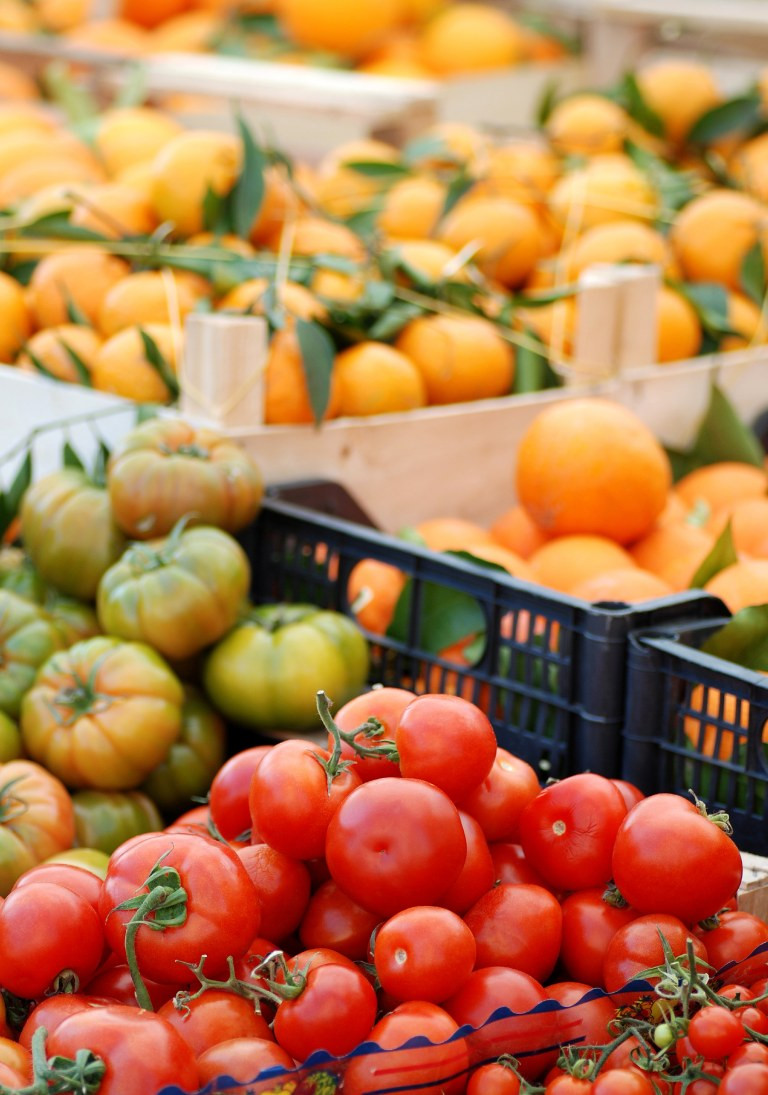 media.macfrut-t-suite